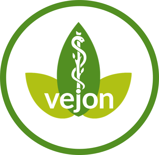Vejon colour and circle dk green 20210408 vejon health logo